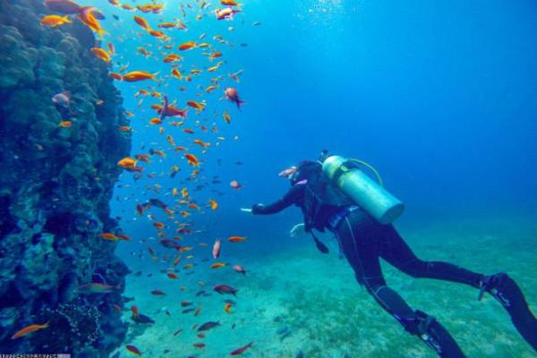 大环环体育项目的介绍与比赛规则(图1)