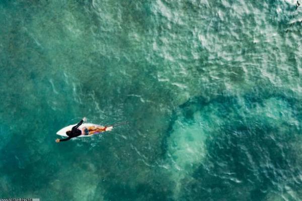 青少年体育培训班直播教学效果研究(图1)